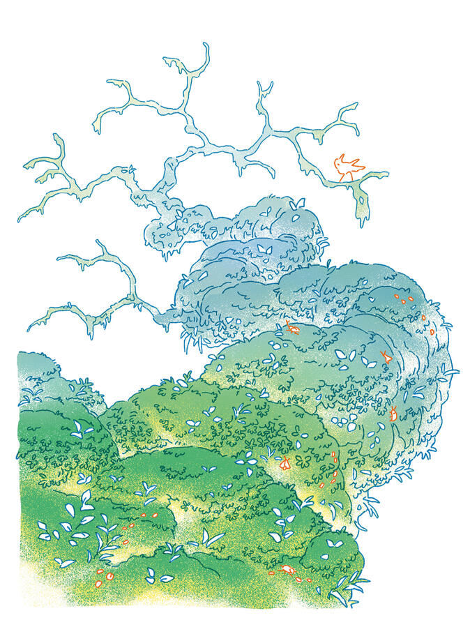 branch - illustration for use in riso printing, done in procreate